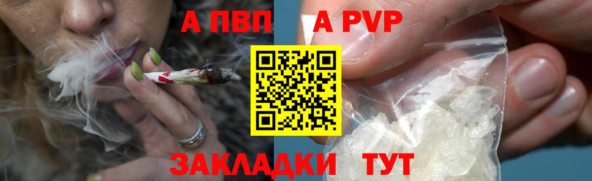 A-PVP СК КРИС Хасавюрт