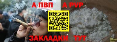 прущие крисы Кингисепп