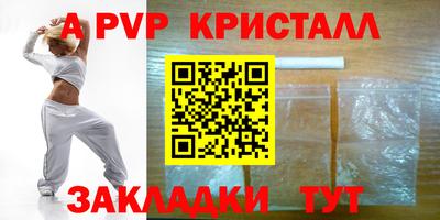 прущие крисы Кингисепп