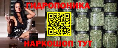 прущие крисы Кингисепп