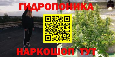 прущие крисы Кингисепп
