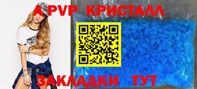 прущие крисы Кингисепп