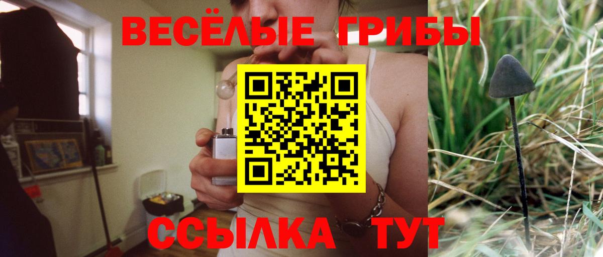 Хасавюрт  Псилоцибиновые грибы Magic Shrooms  Вход с VPN 