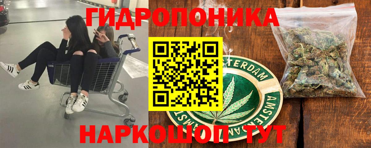 Шишки марихуана марихуана Хасавюрт